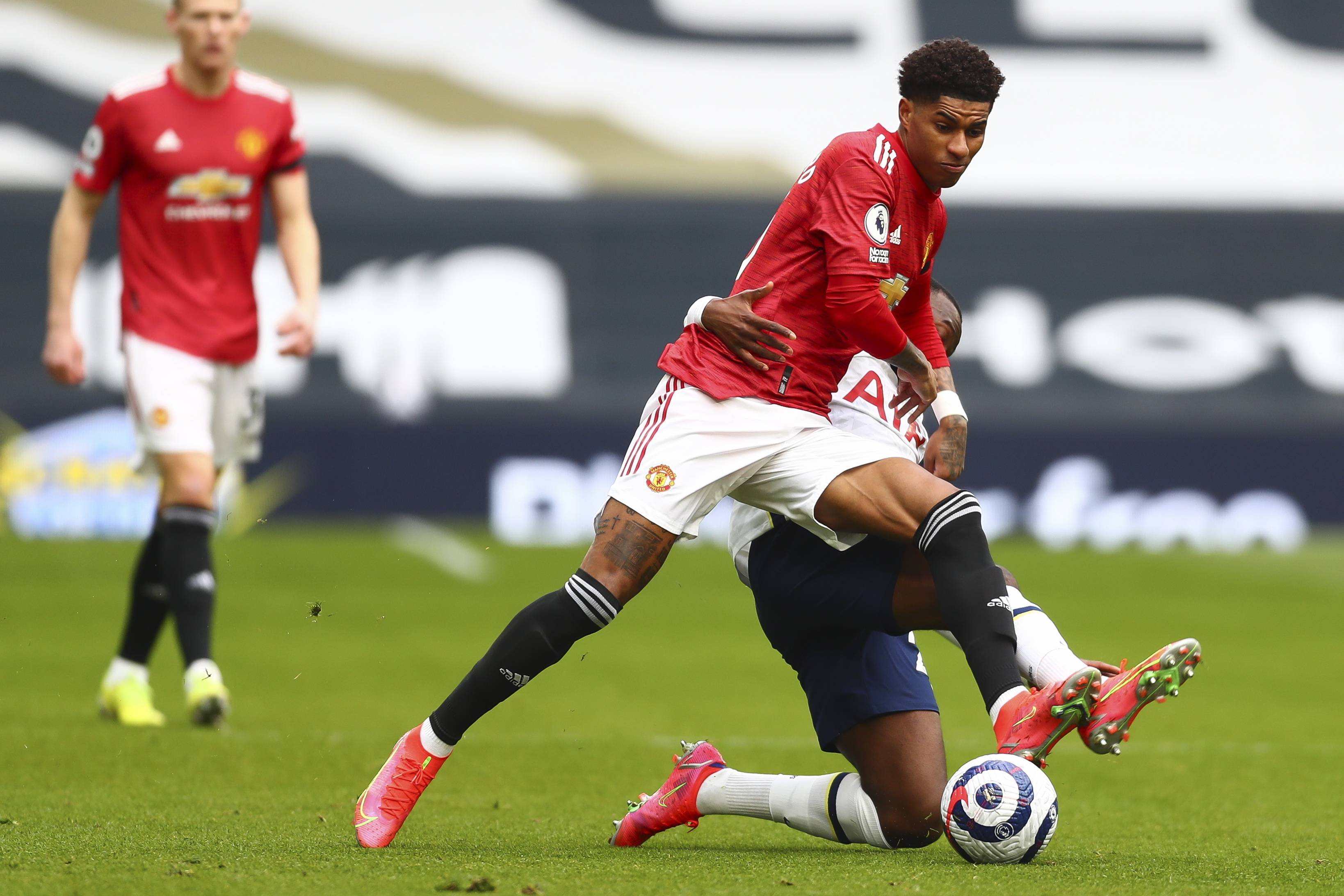 将是她们面 将是她们面